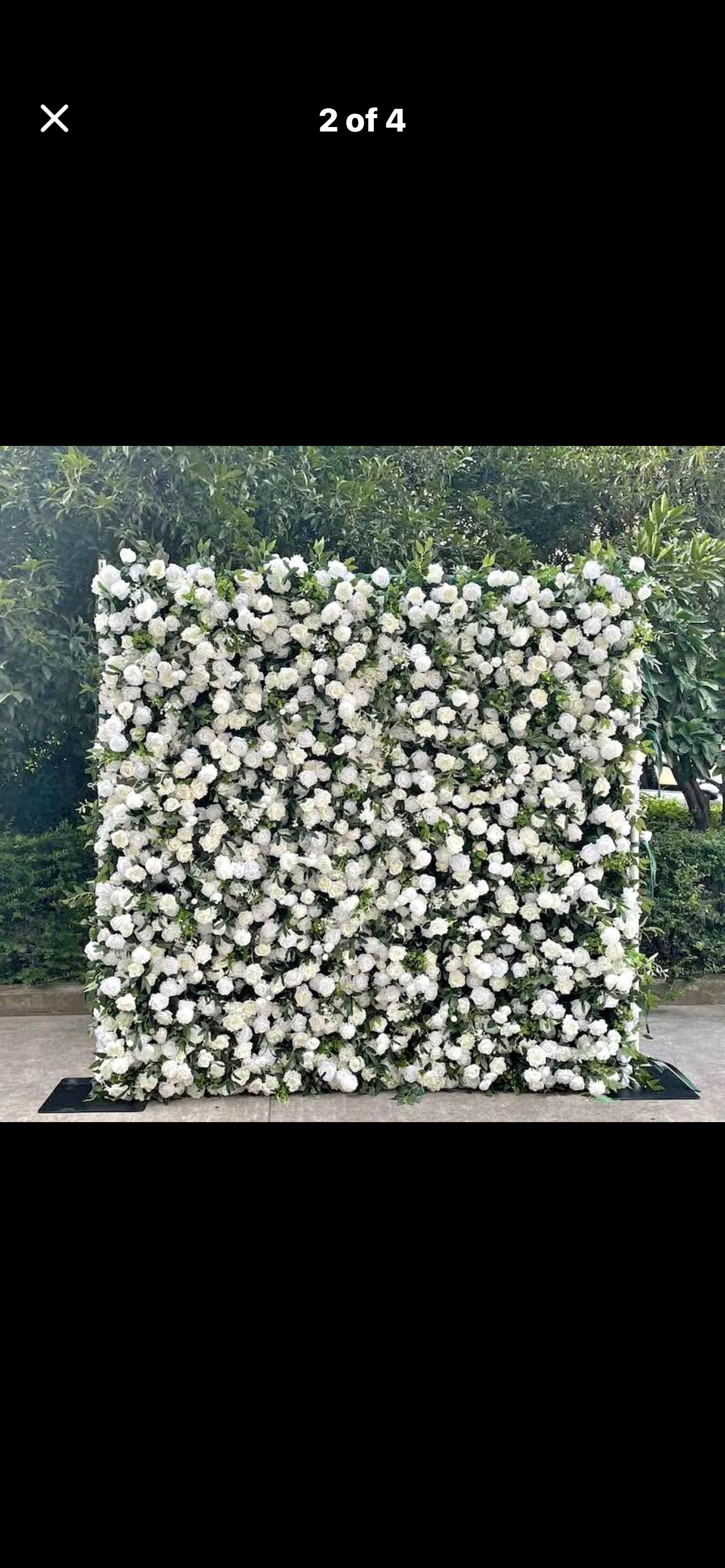 All-In-One Event Package: Flower Wall + Photo Booth Experience