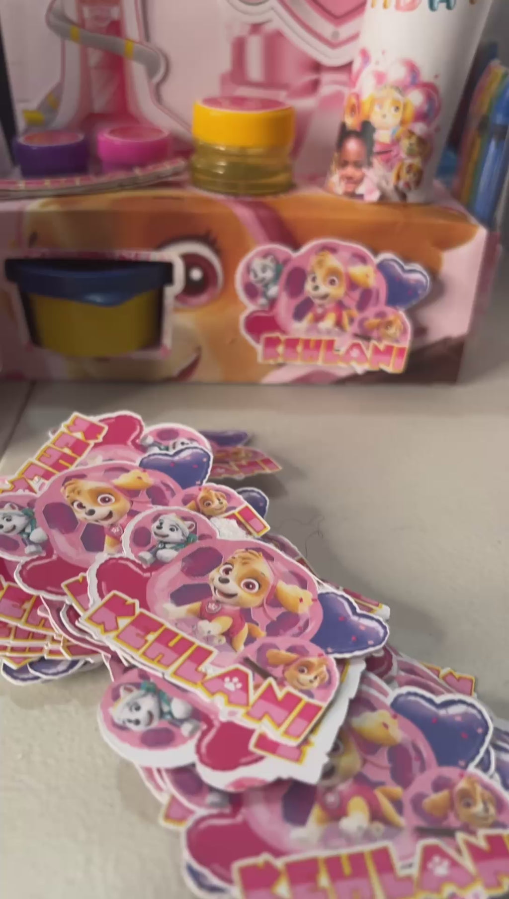 PAWPATROL SKY Activity Box Template DOWNLOADABLE CAMEO SILHOUETTE Template