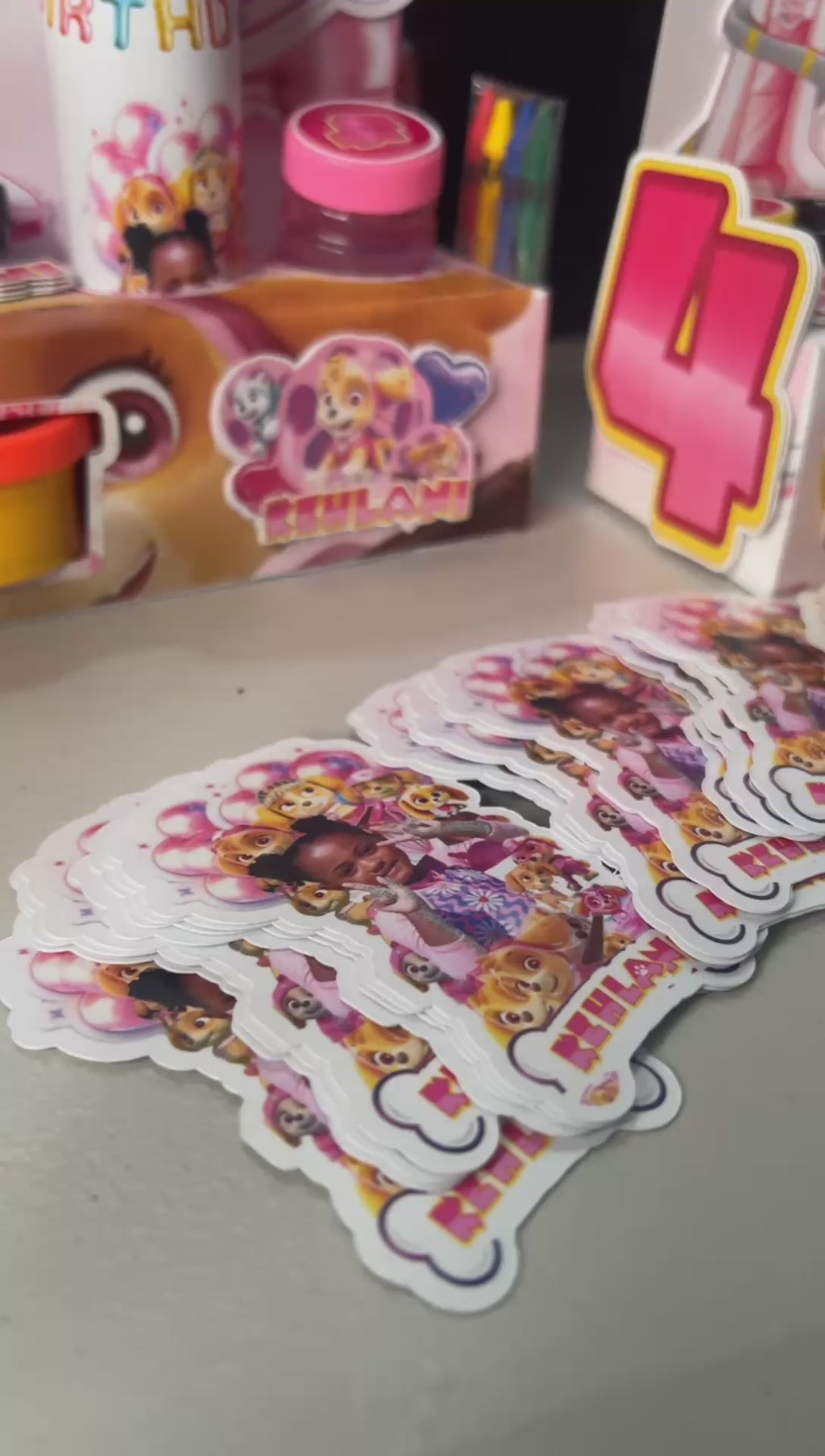 PAWPATROL SKY Activity Box Template DOWNLOADABLE CAMEO SILHOUETTE Template