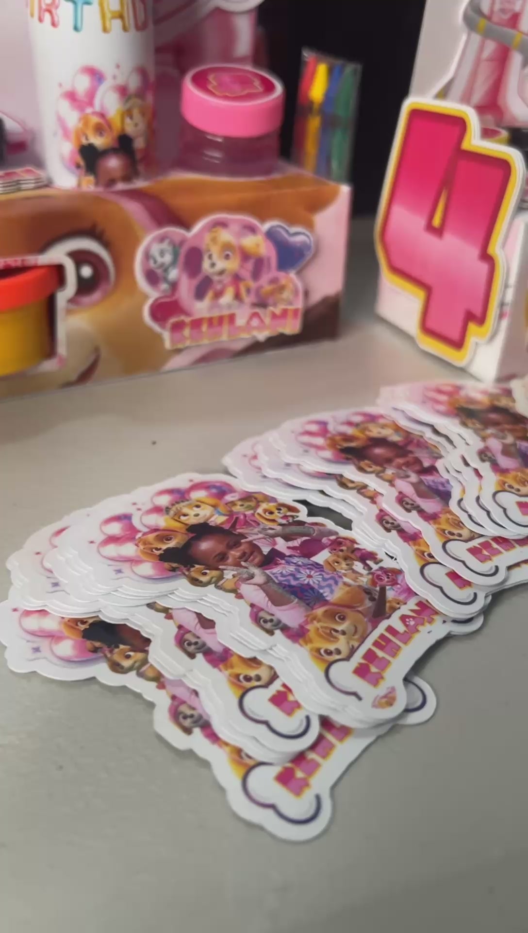 PAWPATROL SKY Activity Box Template DOWNLOADABLE CAMEO SILHOUETTE Template