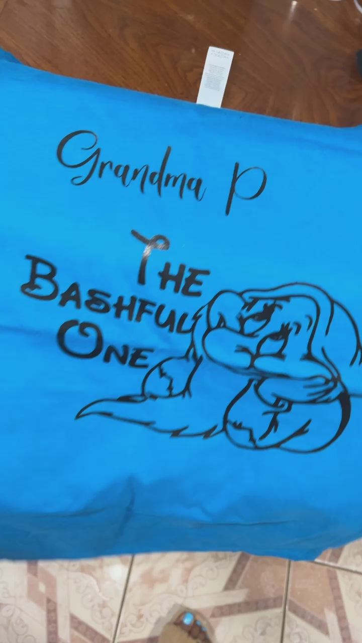 Custom Apparel Personalization Packages HTV ( Heat Transfer Vinyl) Packages pajamas; sweater; tshirt; pants;